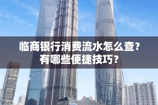 临商银行消费流水怎么查？有哪些便捷技巧？